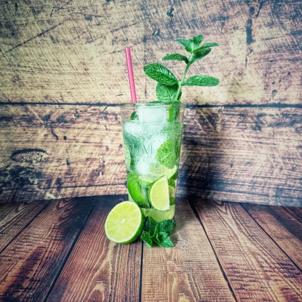 Mojito mit Grapefruitminze