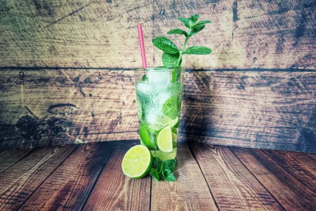 Mojito mit Grapefruitminze