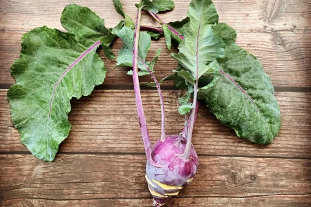 Kohlrabi auf Holztisch