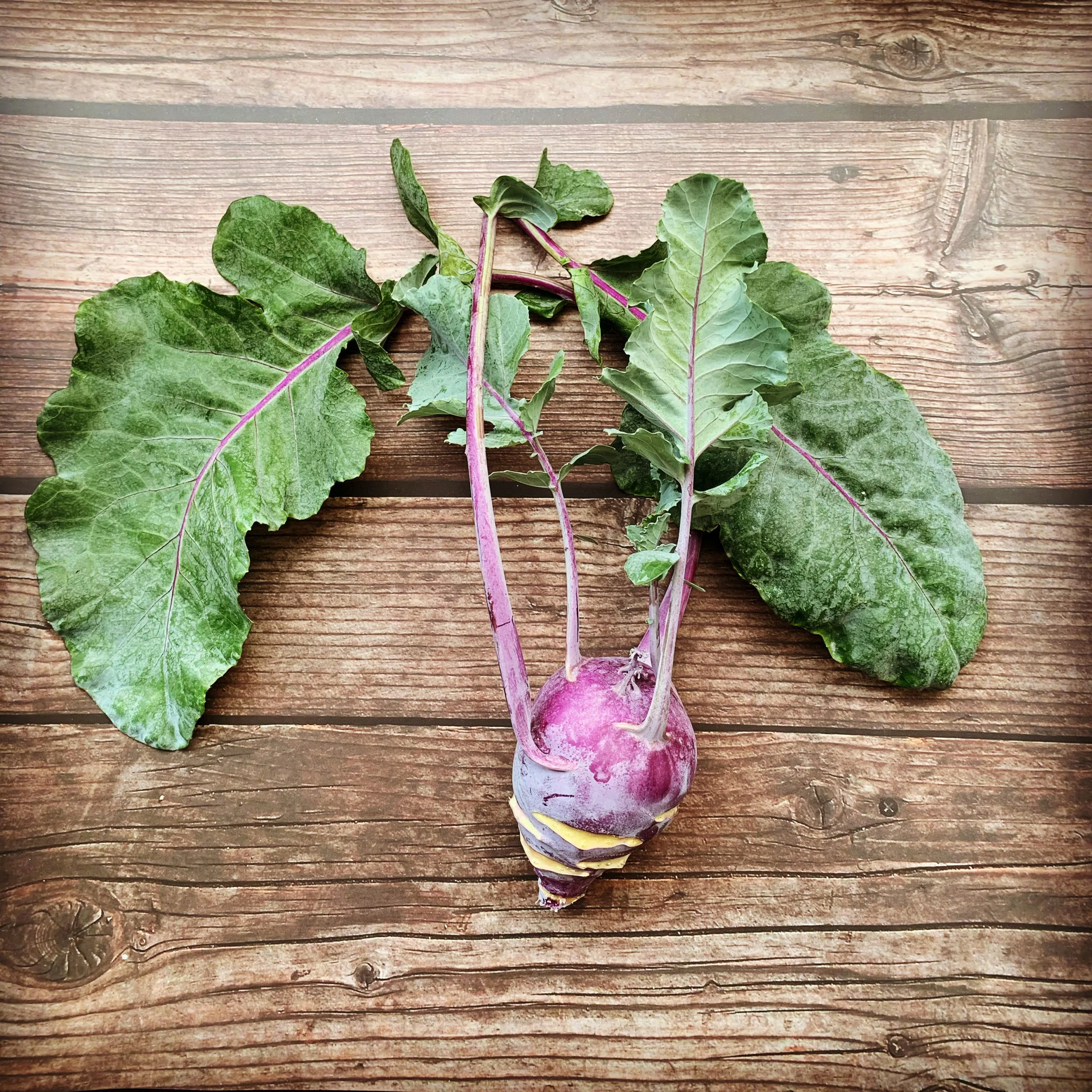 Kohlrabi auf Holztisch