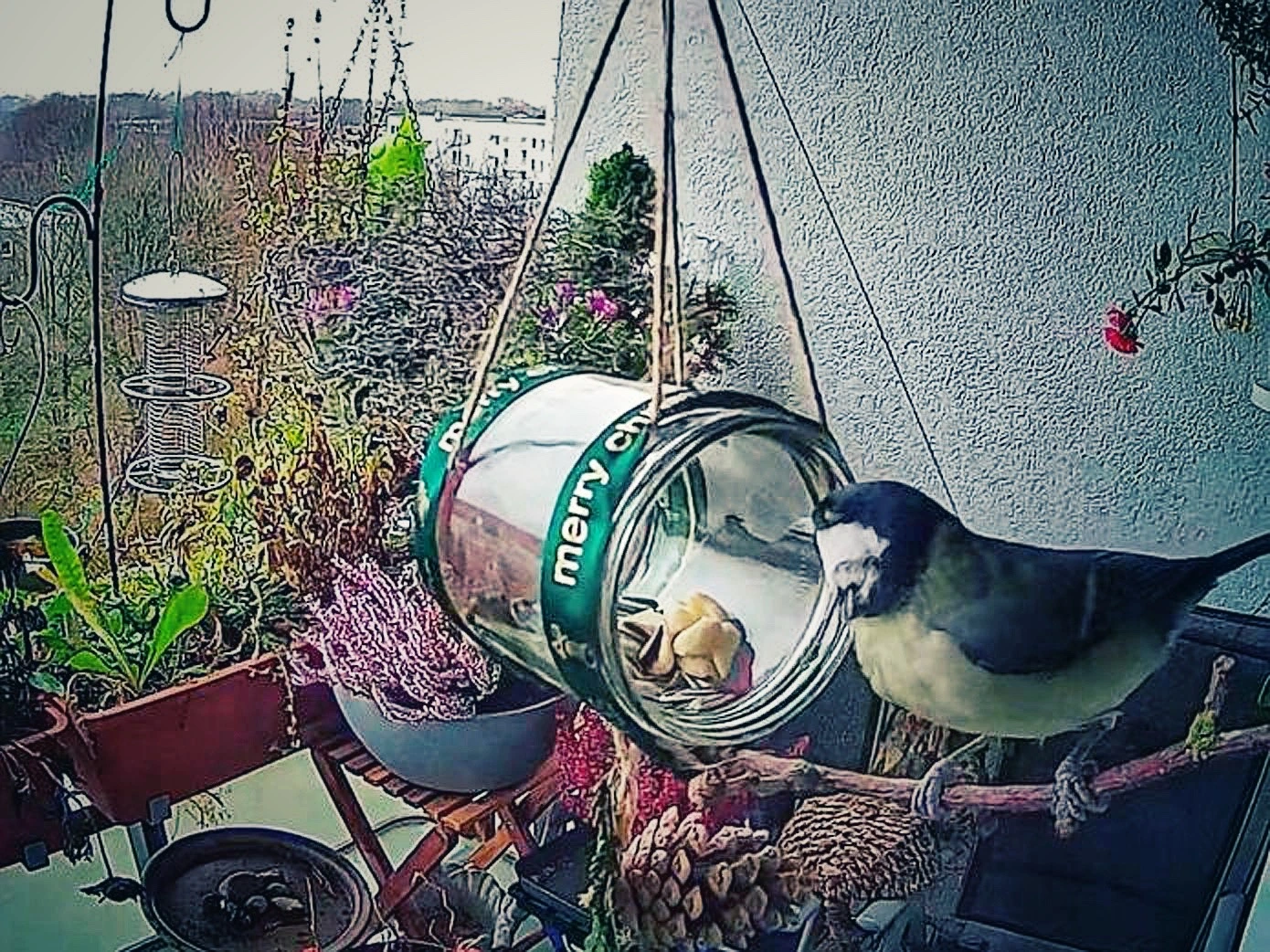 Vogel am Futterplatz