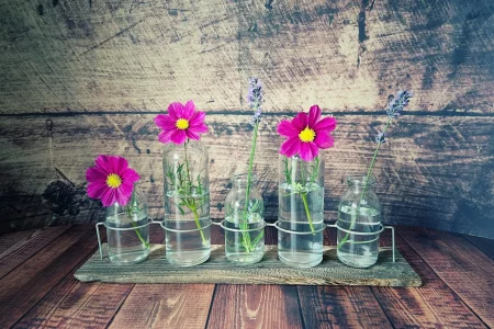 Sommerblumen in der Vase