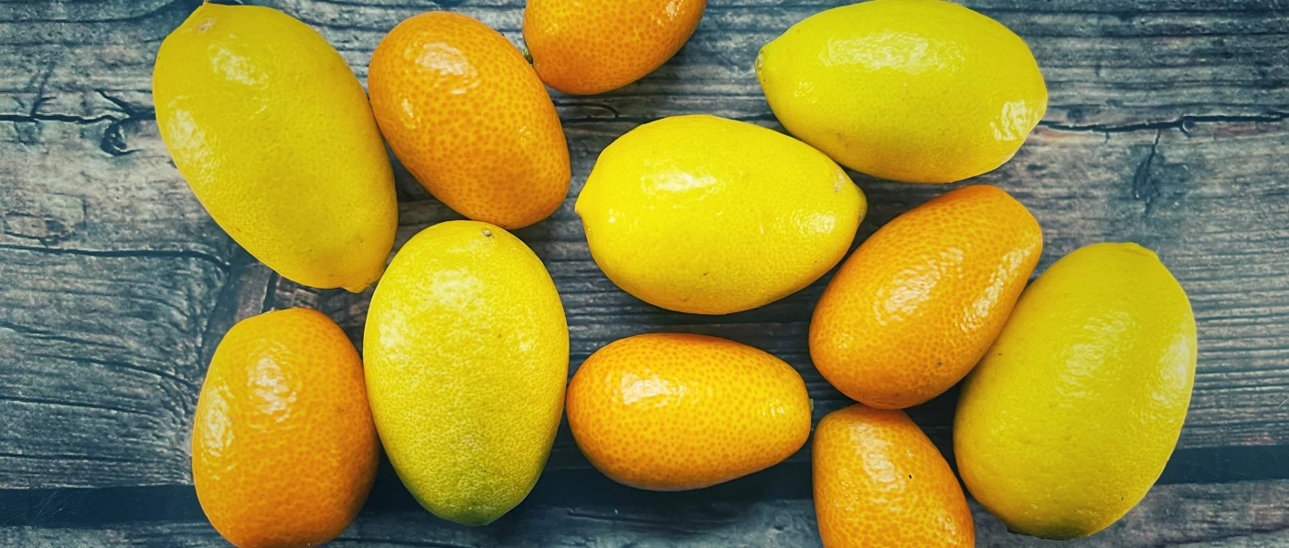 Kumquats und Limequats