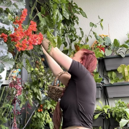 Gärtnern auf dem Balkon