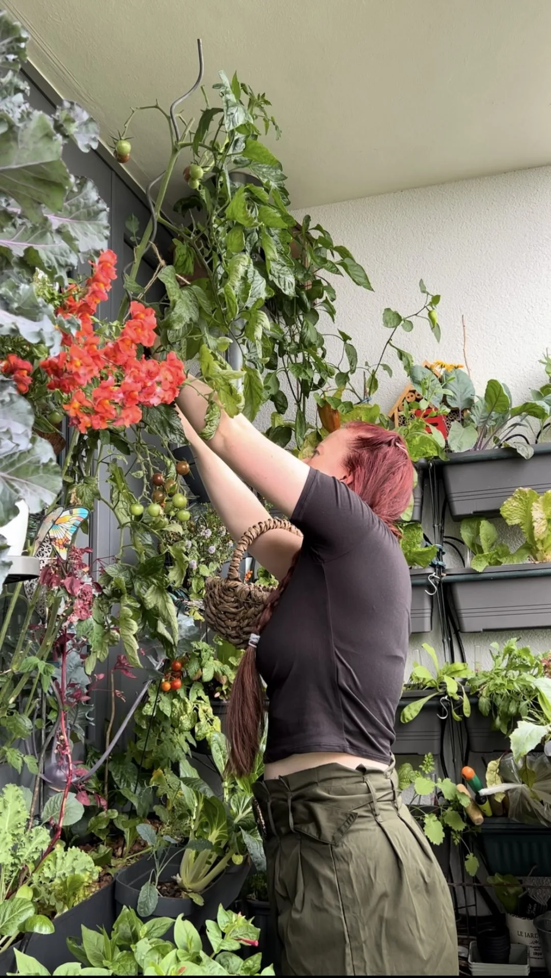 Gärtnern auf dem Balkon