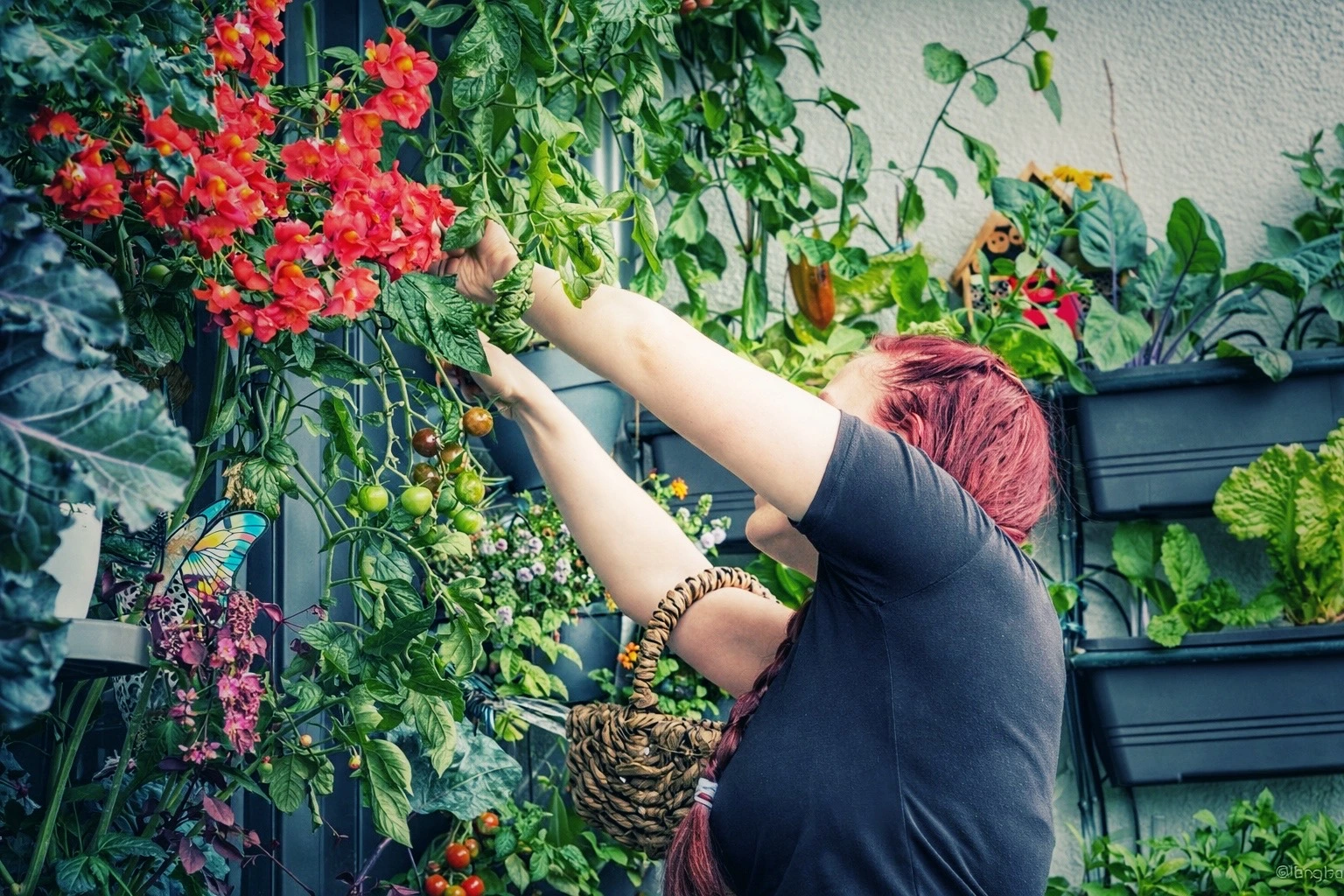 Gärtnern auf dem Balkon