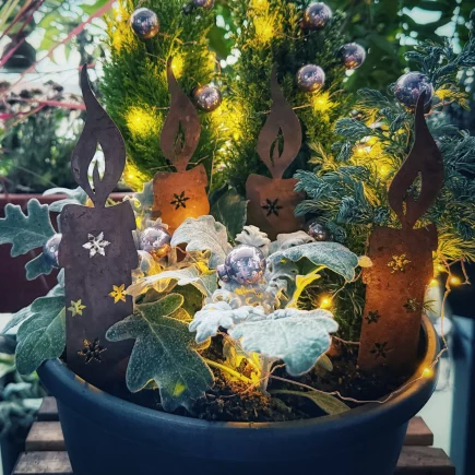 Adventsschale