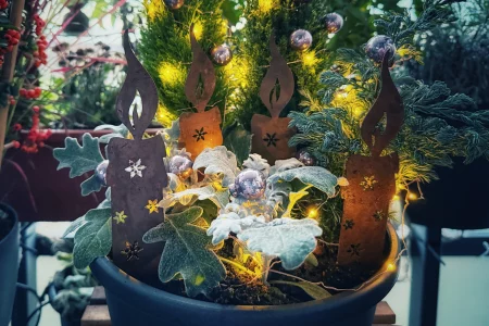 Adventsschale
