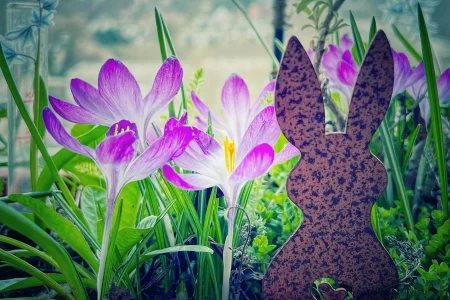 Frühlingserwachen auf dem Balkon