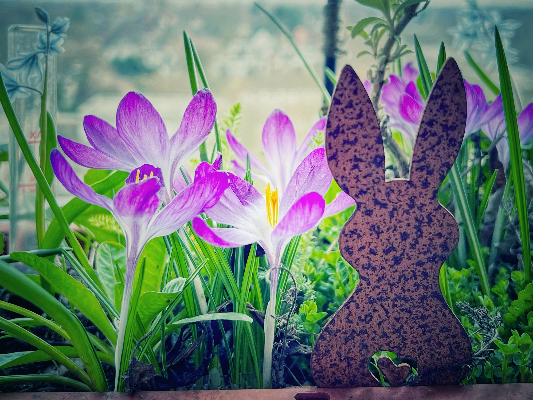 Frühlingserwachen auf dem Balkon