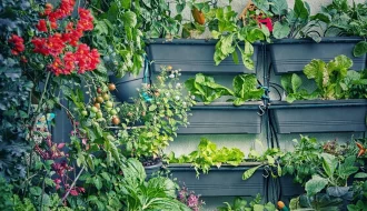 Balkongarten Ernte aufschieben