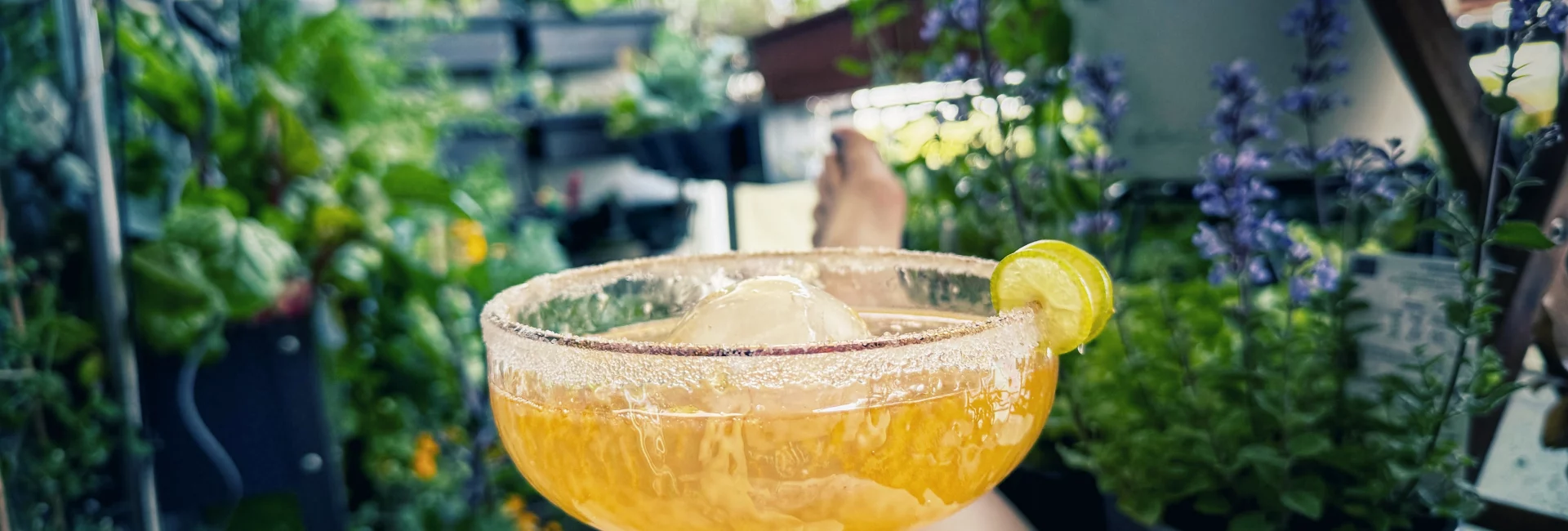 Ernte aufschieben genie&szlig;en