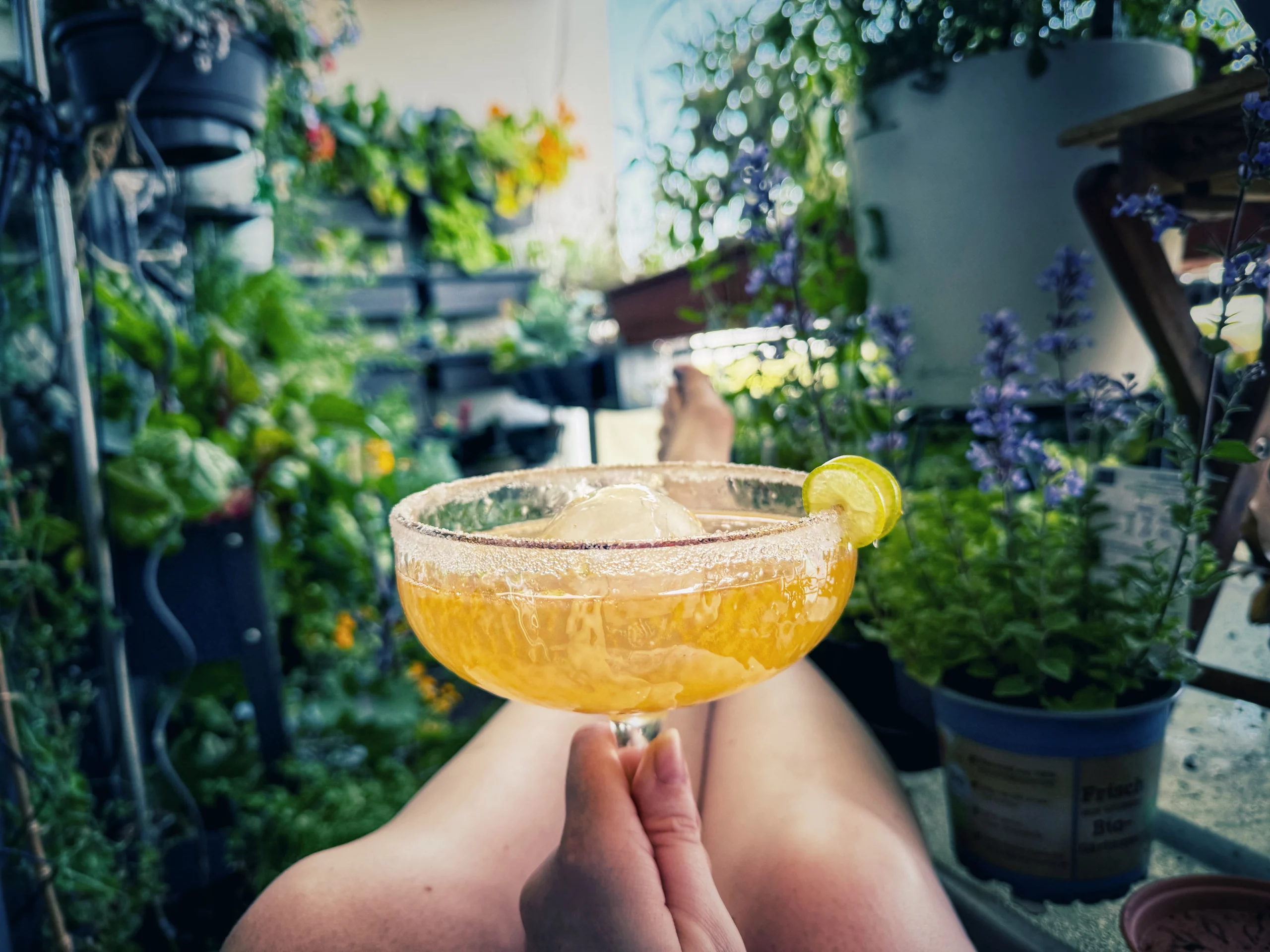 Ernte aufschieben genießen