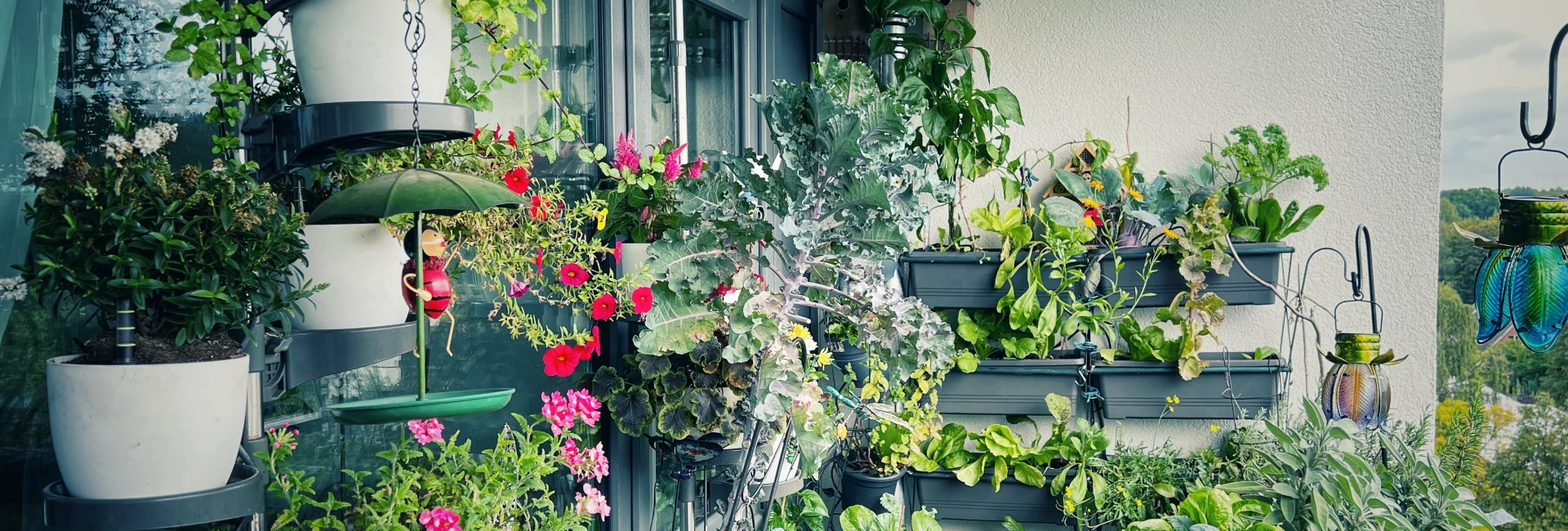 Balkongarten Selbstversorger