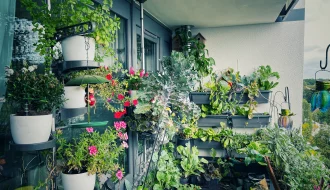 Balkongarten Selbstversorger