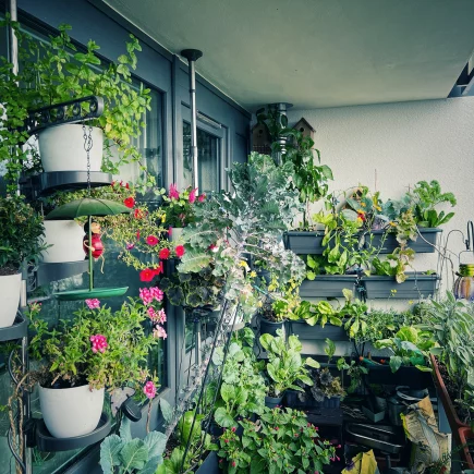 Balkongarten Selbstversorger