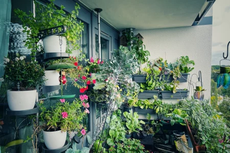 Balkongarten Selbstversorger