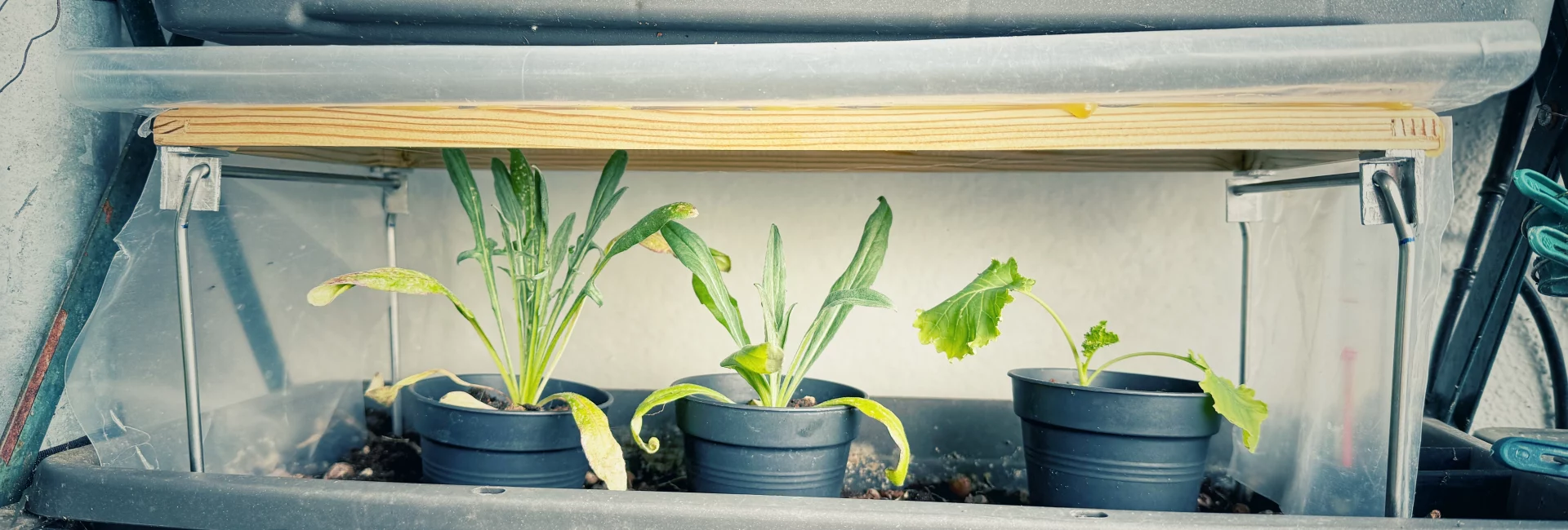 DIY Minigew&auml;chshaus f&uuml;r den Balkonkasten mit Holzrahmen, transparenter Folie und klappbaren Metallf&uuml;&szlig;en