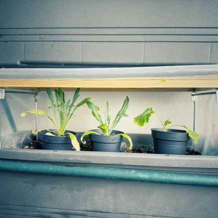 DIY Minigewächshaus für den Balkonkasten mit Holzrahmen, transparenter Folie und klappbaren Metallfüßen