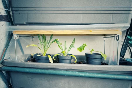 DIY Minigewächshaus für den Balkonkasten mit Holzrahmen, transparenter Folie und klappbaren Metallfüßen