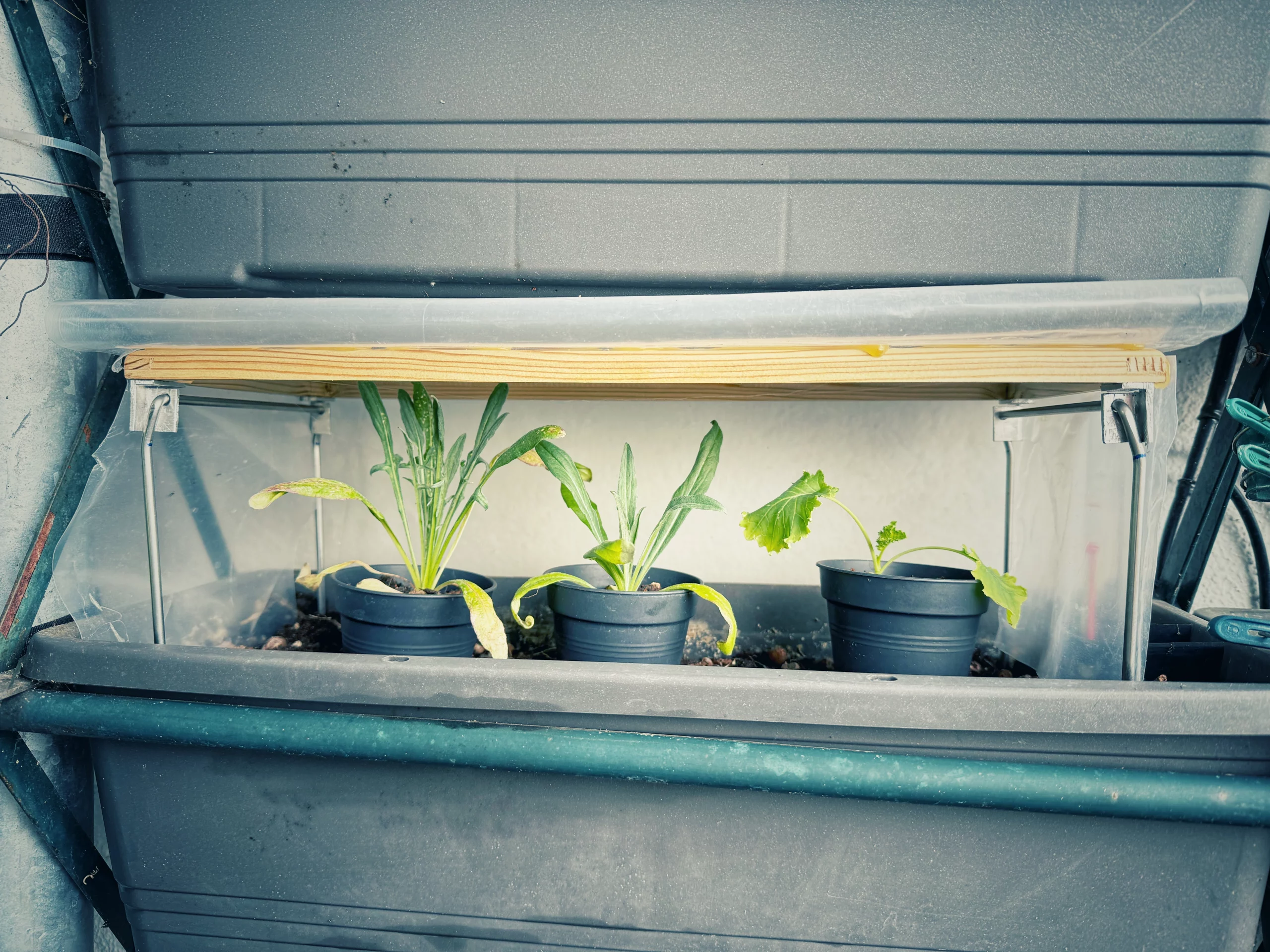 DIY Minigewächshaus für den Balkonkasten mit Holzrahmen, transparenter Folie und klappbaren Metallfüßen