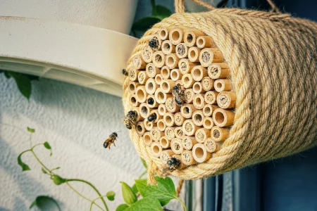Mehrere Wildbienen an einer fast vollständig belegten Nisthilfe aus Bambusröhrchen auf einem Balkon.