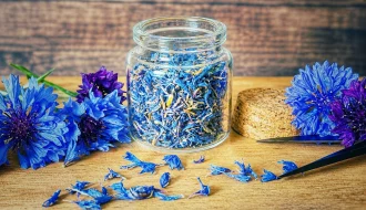 Getrocknete Kornblumen in einem Vorratsglas mit frischen Kornblumen auf einem Holzbrett.