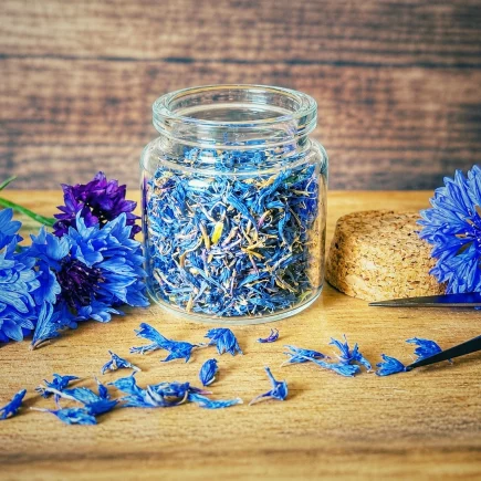 Getrocknete Kornblumen in einem Vorratsglas mit frischen Kornblumen auf einem Holzbrett.