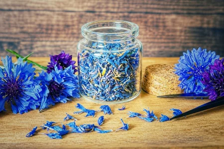Getrocknete Kornblumen in einem Vorratsglas mit frischen Kornblumen auf einem Holzbrett.