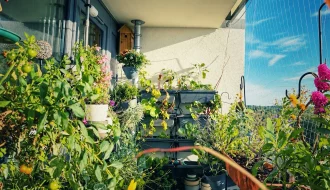 &Uuml;ppig bepflanzter Balkon mit Gem&uuml;se, Kr&auml;utern und Bl&uuml;ten im September