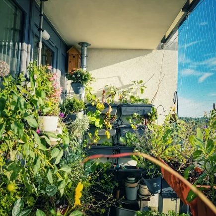 Üppig bepflanzter Balkon mit Gemüse, Kräutern und Blüten im September