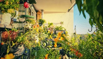 &Uuml;ppig bepflanzter Balkongarten im Oktober mit Gem&uuml;se, Blumen und Kr&auml;utern in der goldenen Morgensonne.